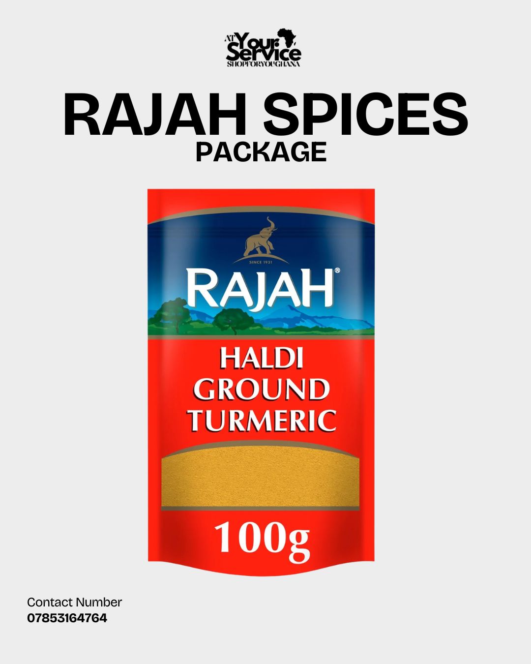 Rajah Spices Package